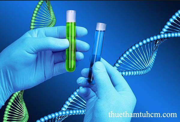 Dịch vụ thám tử giám định ADN uy tín